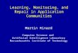 Learning, Monitoring, and Repair in Application Communities