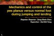Mechanics and control of the pes planus versus normal foot during jumping and landing