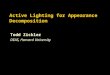 Active Lighting for Appearance Decomposition
