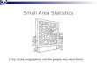 Small Area Statistics
