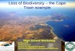 Loss of Biodiversity – the Cape Town example