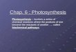 Chap. 6 : Photosynthesis