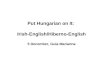 Put Hungarian on It:  Irish-Englis h/ Hiberno-English 5 December, Gula Marianna