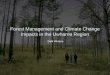 Forest Management and Climate Change Impacts in the Uwharrie Region