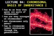 LECTURE 04:  CHROMOSOMAL  BASIS OF INHERITANCE I