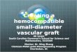 Creating a hemocompatible small-diameter vascular graft
