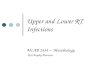 Upper and Lower RT Infections
