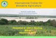 International Center for Biosaline Agriculture