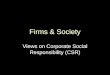 Firms & Society