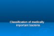 Classification of medically important bacteria
