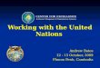 Working with the United Nations
