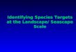 Identifying Species Targets at the Landscape/ Seascape Scale
