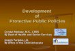 Development  of  Protective Public Policies