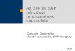 Az ETR és SAP pénzügyi rendszerének kapcsolata