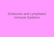Endocrine and Lymphatic/ Immune Systems