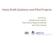 Nano  Draft Guidance and Pilot Projects