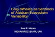 Gray Whales as Sentinels of Alaskan Ecosystem Variability