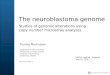 The neuroblastoma genome  Studies of genomic alterations using  copy number microarray analyzes