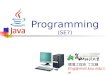 Programming  (SE7)