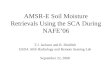 AMSR-E Soil Moisture Retrievals Using the SCA During NAFE’06
