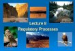 Lecture 8 Regulatory Processes