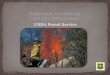 Wilderness Firefighting  and Fire Information
