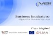 Business incubators- support for business start-ups