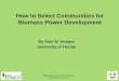 How to Select Communities for Biomass Power Development