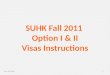 SUHK Fall 2011  Option I & II Visas Instructions
