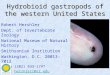 Hydrobioid gastropods of the western United States