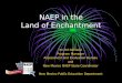 NAEP in the Land of Enchantment