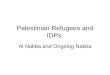 Palestinian Refugees and IDPs