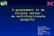 E-government in de sociale sector: de multifunctionele aangifte