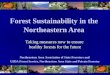 Forest Sustainability in the  Northeastern Area