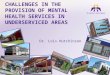 Challenges in the Provision of Mental Health Services in Underserviced Areas