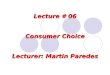 Lecture # 06 Consumer Choice Lecturer: Martin Paredes