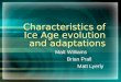 Characteristics of Ice Age evolution and adaptations