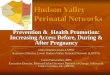 Hudson Valley  Perinatal Networks