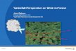 Vattenfall Perspective on Wind in Forest