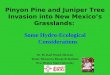 Pinyon Pine and Juniper Tree Invasion into New Mexico’s Grasslands: