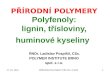 PŘÍRODNÍ POLYMERY Polyfenoly : lignin, třísloviny,  huminové  kyseliny