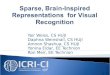 Sparse, Brain-Inspired Representations  for Visual Recognition