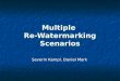 Multiple  Re-Watermarking Scenarios