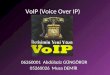 VoIP (Voice Over IP)