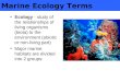 Marine Ecology Terms