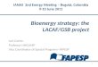 Bioenergy strategy: the LACAF/GSB project