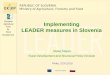 Implementing  LEADER measures in Slovenia