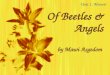 Of Beetles & Angels by Mawi Asgedom