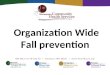 Organization Wide Fall prevention