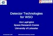 Detector Technologies for WSO